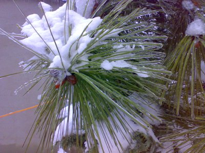 Kliknij na zdjęcie, żeby zobaczyć w pełnych wymiarach