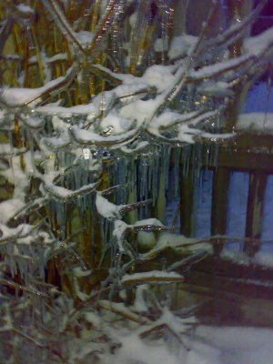 Kliknij na zdjęcie, żeby zobaczyć w pełnych wymiarach