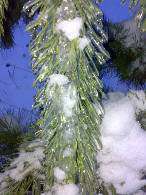 Kliknij na zdjęcie, żeby zobaczyć w pełnych wymiarach