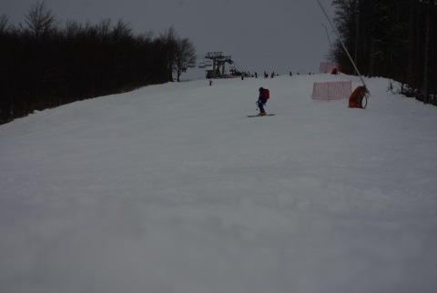 Kliknij na zdjęcie, żeby zobaczyć w pełnych wymiarach