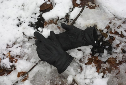 Kliknij na zdjęcie, żeby zobaczyć w pełnych wymiarach