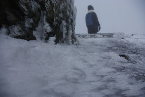 Kliknij na zdjęcie, żeby zobaczyć w pełnych wymiarach