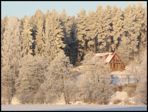 Kliknij na zdjęcie, żeby zobaczyć w pełnych wymiarach