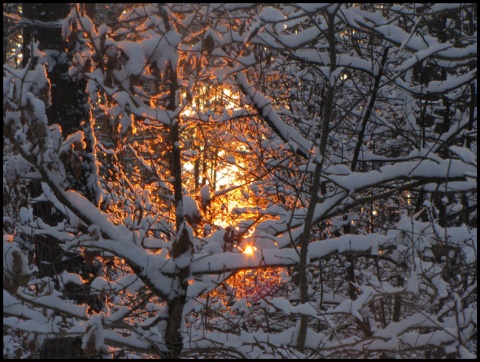 Kliknij na zdjęcie, żeby zobaczyć w pełnych wymiarach