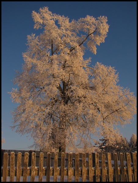 Kliknij na zdjęcie, żeby zobaczyć w pełnych wymiarach