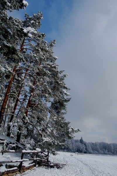 Kliknij na zdjęcie, żeby zobaczyć w pełnych wymiarach