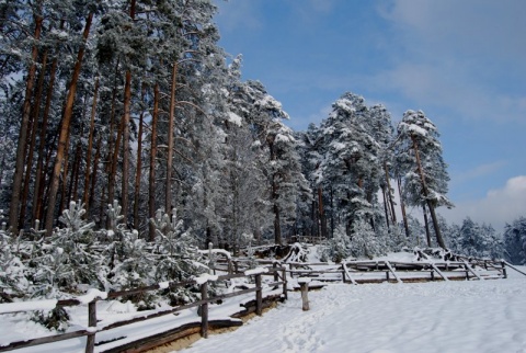 Kliknij na zdjęcie, żeby zobaczyć w pełnych wymiarach