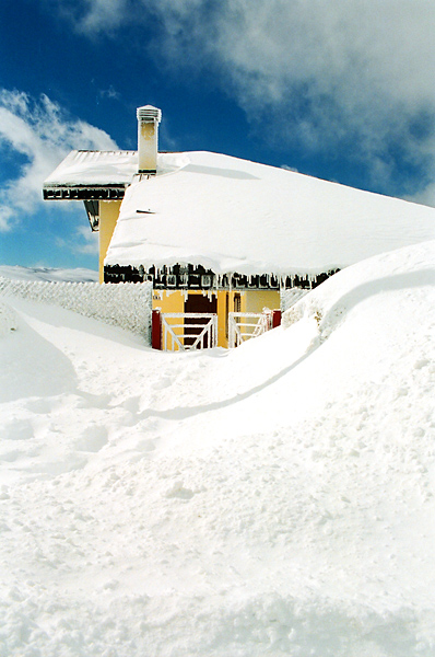 Kliknij na zdjęcie, żeby zobaczyć w pełnych wymiarach