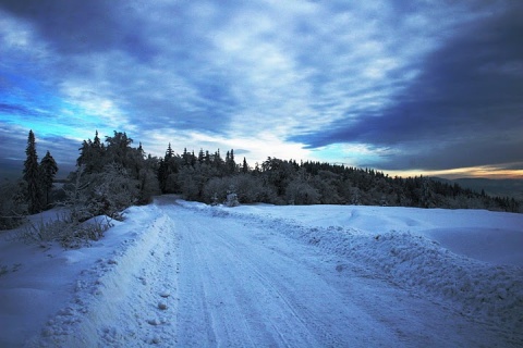 Kliknij na zdjęcie, żeby zobaczyć w pełnych wymiarach