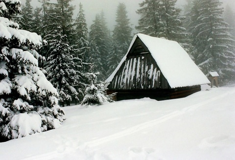 Kliknij na zdjęcie, żeby zobaczyć w pełnych wymiarach