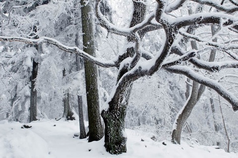 Kliknij na zdjęcie, żeby zobaczyć w pełnych wymiarach