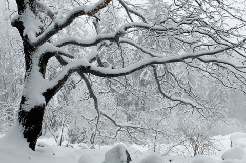 Kliknij na zdjęcie, żeby zobaczyć w pełnych wymiarach