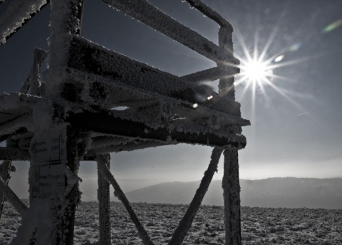 Kliknij na zdjęcie, żeby zobaczyć w pełnych wymiarach