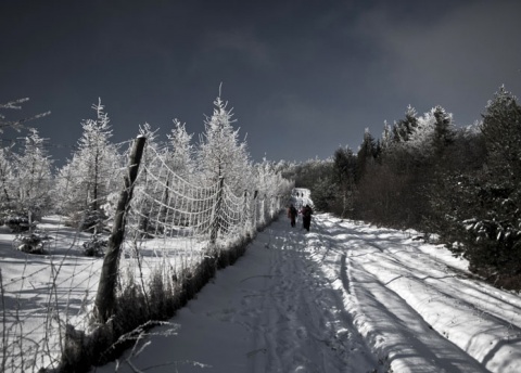 Kliknij na zdjęcie, żeby zobaczyć w pełnych wymiarach