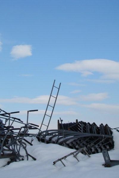 Kliknij na zdjęcie, żeby zobaczyć w pełnych wymiarach