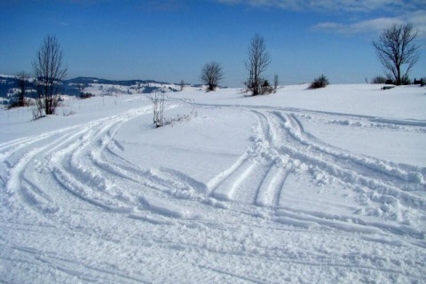 Kliknij na zdjęcie, żeby zobaczyć w pełnych wymiarach