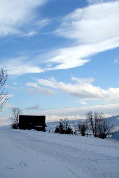 Kliknij na zdjęcie, żeby zobaczyć w pełnych wymiarach