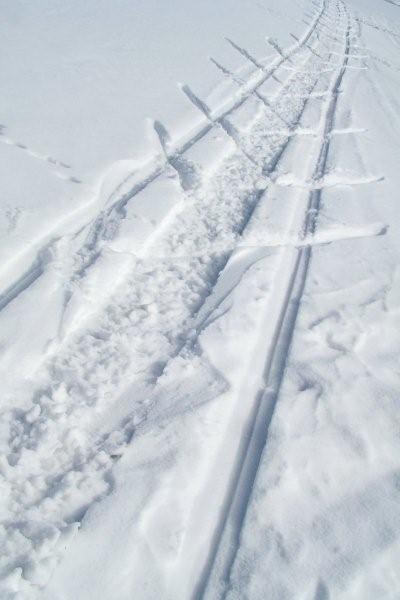 Kliknij na zdjęcie, żeby zobaczyć w pełnych wymiarach