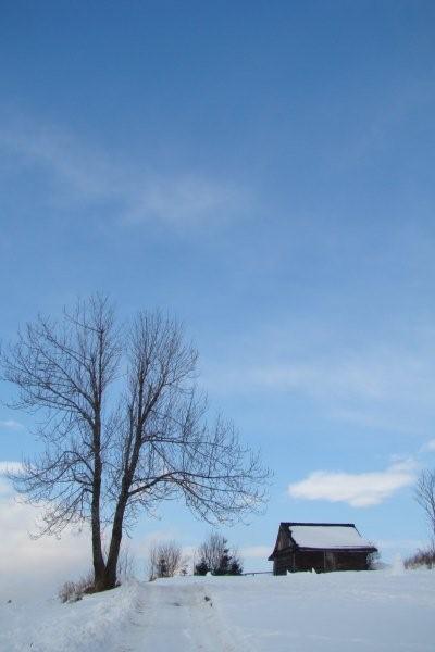 Kliknij na zdjęcie, żeby zobaczyć w pełnych wymiarach