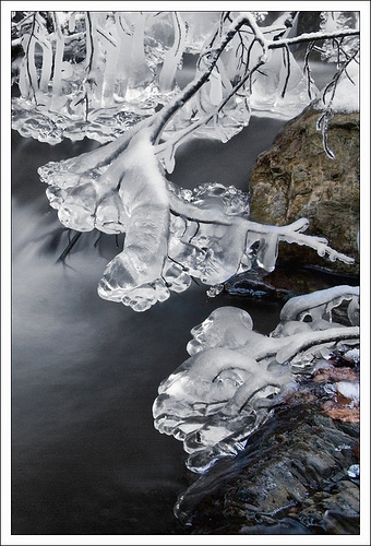 Kliknij na zdjęcie, żeby zobaczyć w pełnych wymiarach