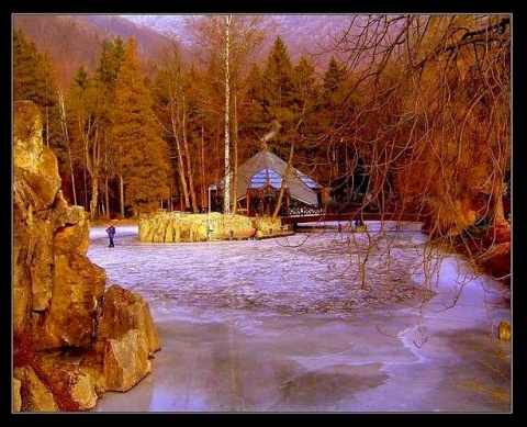 Kliknij na zdjęcie, żeby zobaczyć w pełnych wymiarach