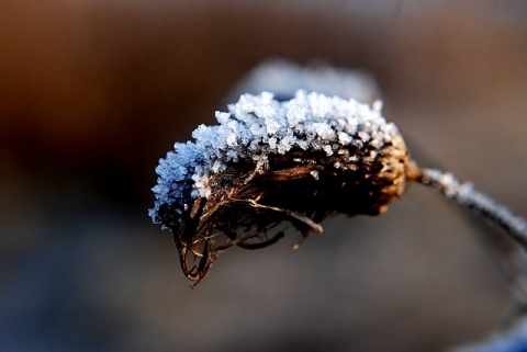 Kliknij na zdjęcie, żeby zobaczyć w pełnych wymiarach