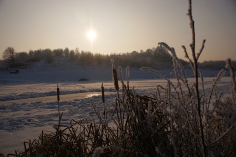 Kliknij na zdjęcie, żeby zobaczyć w pełnych wymiarach
