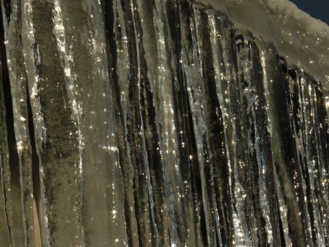 Kliknij na zdjęcie, żeby zobaczyć w pełnych wymiarach