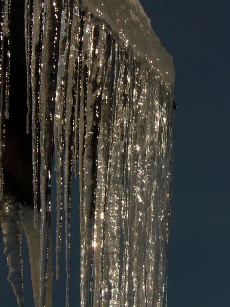 Kliknij na zdjęcie, żeby zobaczyć w pełnych wymiarach