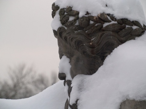 Kliknij na zdjęcie, żeby zobaczyć w pełnych wymiarach