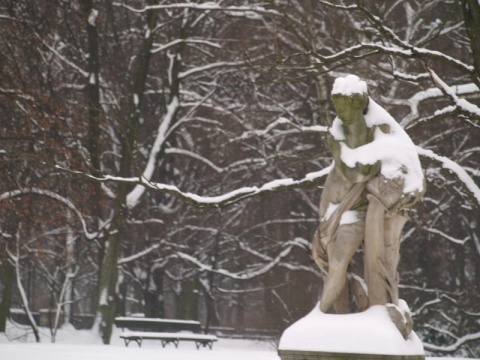 Kliknij na zdjęcie, żeby zobaczyć w pełnych wymiarach