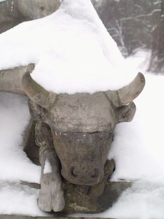 Kliknij na zdjęcie, żeby zobaczyć w pełnych wymiarach