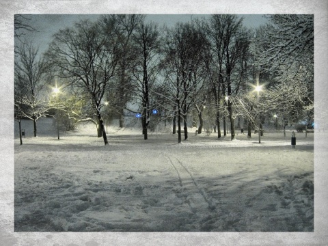 Kliknij na zdjęcie, żeby zobaczyć w pełnych wymiarach