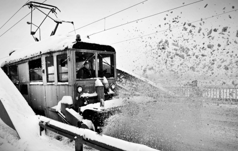 Kliknij na zdjęcie, żeby zobaczyć w pełnych wymiarach