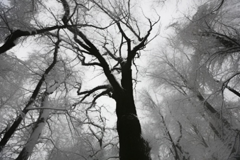 Kliknij na zdjęcie, żeby zobaczyć w pełnych wymiarach