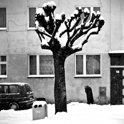 Kliknij na zdjęcie, żeby zobaczyć w pełnych wymiarach