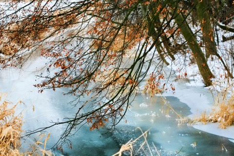 Kliknij na zdjęcie, żeby zobaczyć w pełnych wymiarach