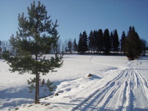 Kliknij na zdjęcie, żeby zobaczyć w pełnych wymiarach