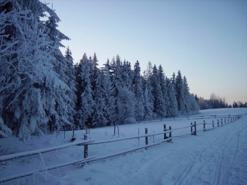 Kliknij na zdjęcie, żeby zobaczyć w pełnych wymiarach
