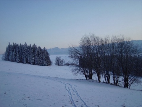 Kliknij na zdjęcie, żeby zobaczyć w pełnych wymiarach