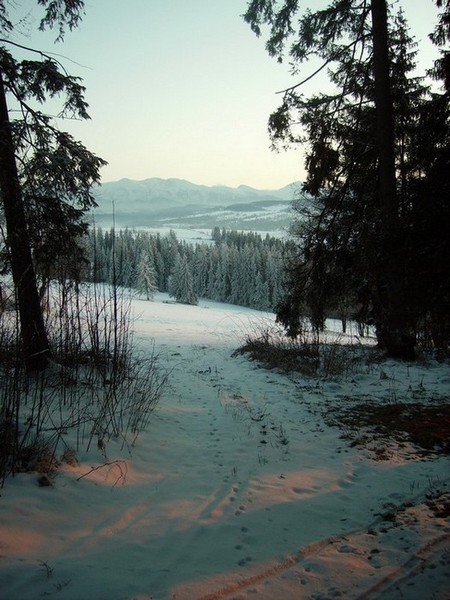 Kliknij na zdjęcie, żeby zobaczyć w pełnych wymiarach