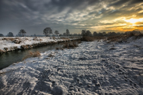 Kliknij na zdjęcie, żeby zobaczyć w pełnych wymiarach