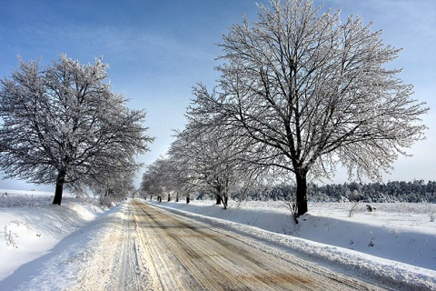 Kliknij na zdjęcie, żeby zobaczyć w pełnych wymiarach