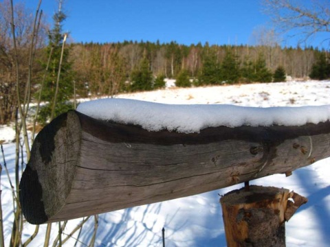 Kliknij na zdjęcie, żeby zobaczyć w pełnych wymiarach