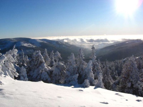 Kliknij na zdjęcie, żeby zobaczyć w pełnych wymiarach