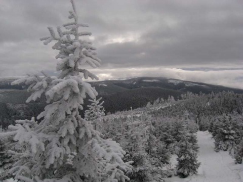 Kliknij na zdjęcie, żeby zobaczyć w pełnych wymiarach