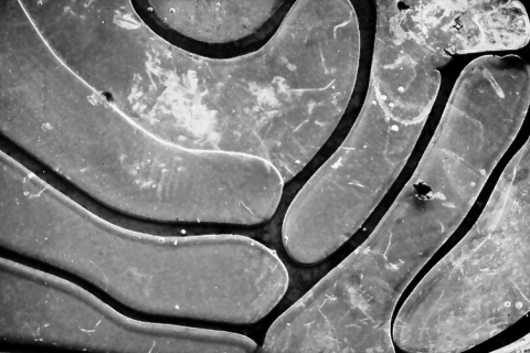 Kliknij na zdjęcie, żeby zobaczyć w pełnych wymiarach