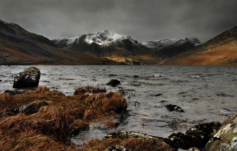 Kliknij na zdjęcie, żeby zobaczyć w pełnych wymiarach