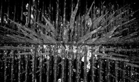 Kliknij na zdjęcie, żeby zobaczyć w pełnych wymiarach