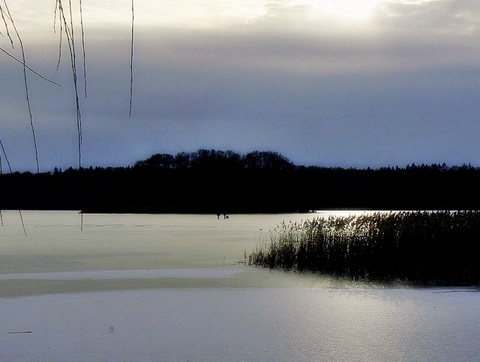 Kliknij na zdjęcie, żeby zobaczyć w pełnych wymiarach